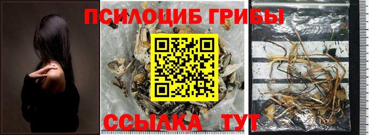 Псилоцибиновые грибы мицелий  Псилоцибиновые грибы GOLDEN TEACHER  Вход с VPN  Тара 