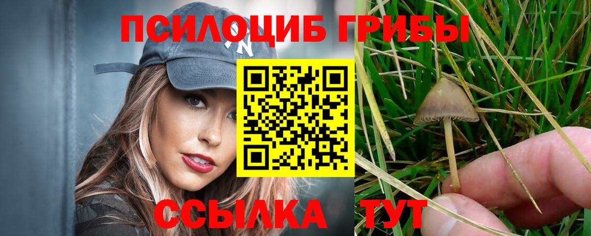 Галлюциногенные грибы прущие грибы Тара